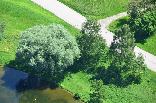 Vue Surélevée Sur Verdure Dans Parc Berlin — Photo