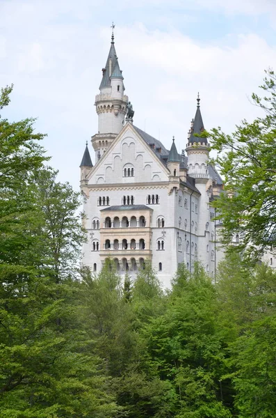 Eski Kale Binası Manzarası Yeşillik Almanya — Stok fotoğraf