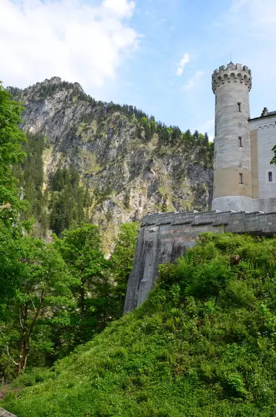 Eski Kale Binası Manzarası Yeşillik Almanya — Stok fotoğraf