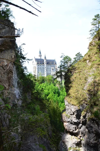 ドイツの古城の建物と緑の風景 — ストック写真