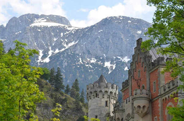 Vue Sur Vieux Bâtiment Château Verdure Allemagne — Photo