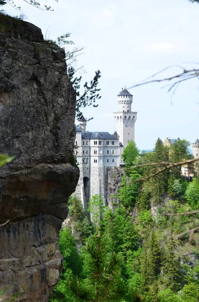 Vista Del Antiguo Edificio Del Castillo Vegetación Alemania —  Fotos de Stock