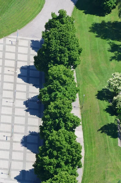 Vista Elevada Vegetação Parque Berlin — Fotografia de Stock