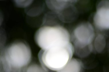 Bulanık yeşil resim, odaklanmamış duvar kağıdı.