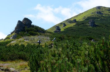Yeşil dağ manzarasında yürüyen sırt çantalı iki yürüyüşçü.