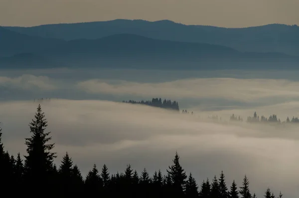 Prachtig Uitzicht Bergachtig Landschap Met Lage Wolken — Stockfoto
