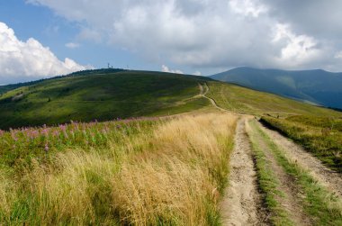 Bulutlu gökyüzü ile dağlık manzaranın güzel manzarası