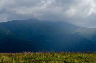 Bulutlu gökyüzü ile dağlık manzaranın güzel manzarası