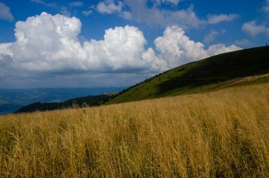 Bulutlu gökyüzü ile dağlık manzaranın güzel manzarası