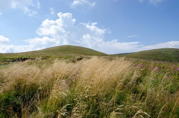 Schöne Aussicht Auf Bergige Landschaft Mit Bewölktem Himmel — Stockfoto