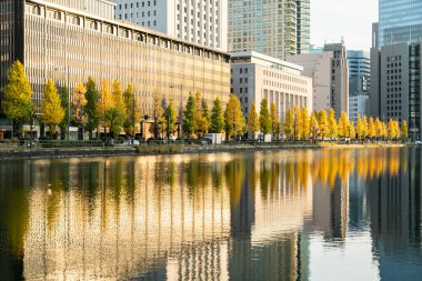 Durgun ve güzel bir gölün önündeki güzel sonbahar ağaçları çizgisi