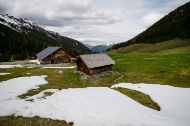 Karlı dağları ve Alpleri olan hoş bir yeşillik