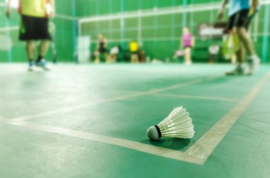 badminton kortları ve ön planda küçük horozlar.