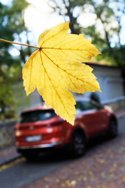 एक सड़क पर एक पृष्ठभूमि पर पीला मेपल पत्ती और लाल कार। शरद ऋतु मूड, पत्ती गिरावट अवधारणा . — स्टॉक फ़ोटो, इमेज
