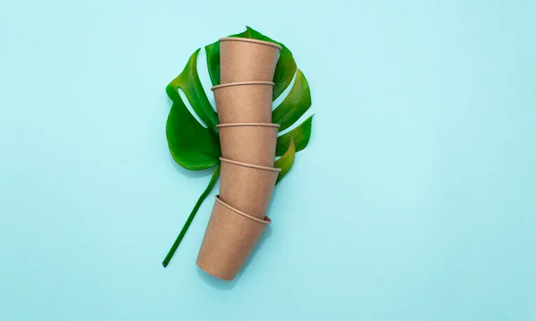 Take-out coffee paper cups on green leaf of monstera. Top view on blue background — Stock Photo, Image