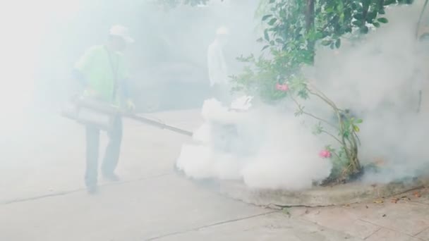 Trabajadores Salud Pública Rociando Mosquitos Aedes Aegypti Sitios Comunitarios Para — Vídeo de stock