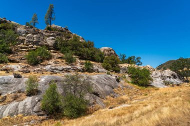 Los Padres Ulusal Ormanı, Kaliforniya