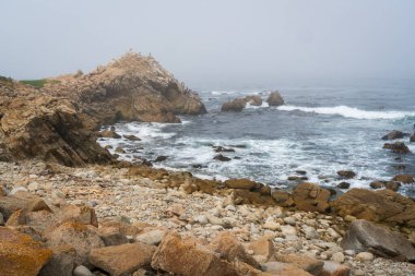 Pacific Groove 'da 17 Mil Kıyı Cephesi