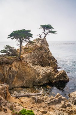 Pacific Groove 'da 17 Mil Kıyı Cephesi