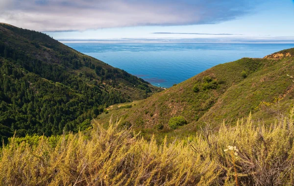 Big Sur Summer California — Stock Photo, Image