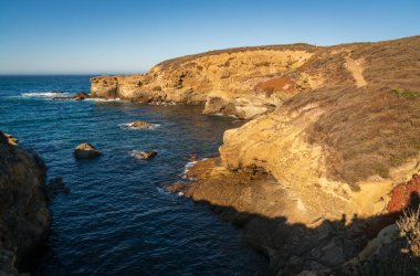 Kaliforniya 'daki Point Lobos sahili.