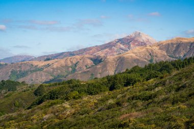 California 'daki Andrew Molera Eyalet Parkı