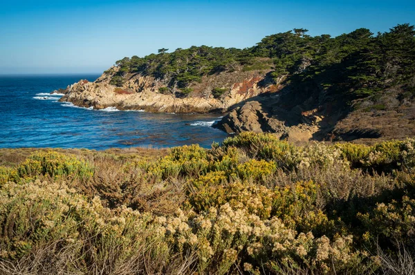 Costa Point Lobos California — Foto de Stock