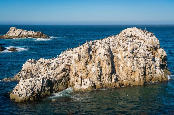 Côte Point Lobos Californie — Photo