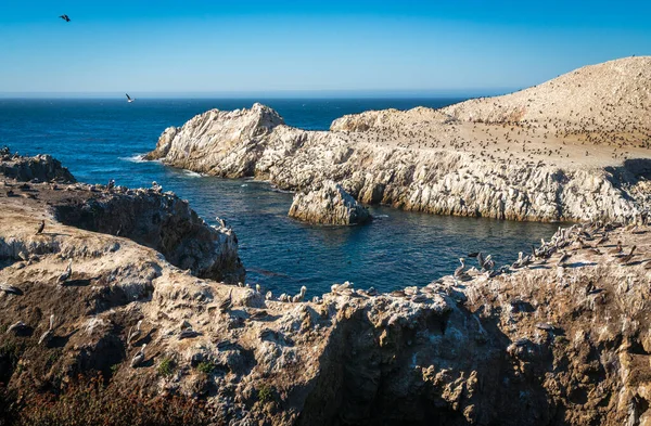 加利福尼亚Lobos角的海岸 — 图库照片