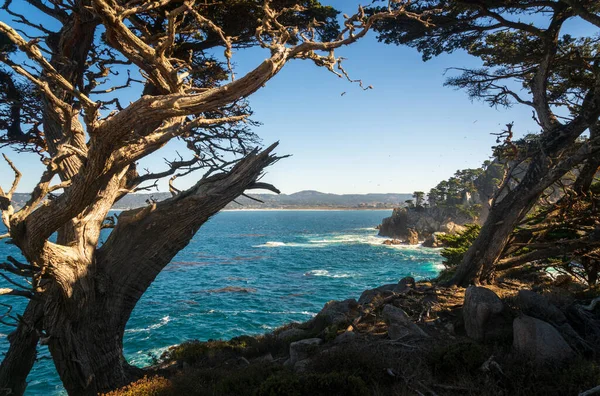 Part Point Lobos Kaliforniában — Stock Fotó