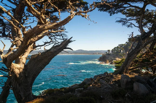 カリフォルニア州のポイント ロボスの海岸 — ストック写真