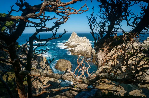 Die Küste Bei Point Lobos Kalifornien — Stockfoto