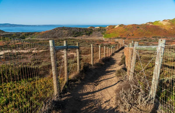 Fort Ord Dunes State Park Coastal Monterey — Stok Foto