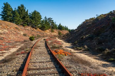 Monterey 'deki Fort Ord Dunes Eyalet Parkı