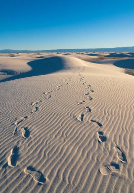 New Mexico 'daki White Sands Ulusal Parkı