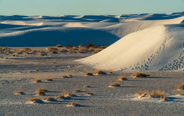 New Mexico 'daki White Sands Ulusal Parkı