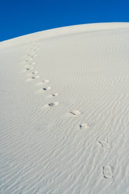 New Mexico 'daki White Sands Ulusal Parkı