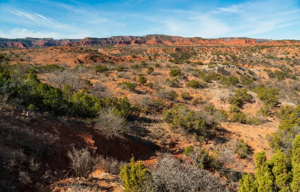 Parque Estatal Caprock Canyons Texas — Foto de Stock