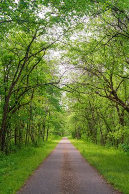 Atina Bölgesinde Hockhocking Adena Bisiklet Yolu