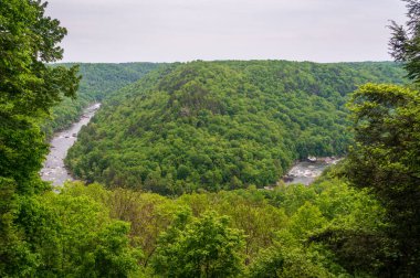 Batı Virginia 'daki Carnifax Ferry State Parkı