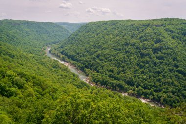 Yeni Nehir Vadisi Ulusal Parkı ve Koruması
