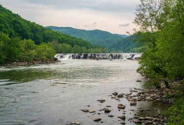 Yeni Nehir Vadisi Ulusal Parkı ve Koruması
