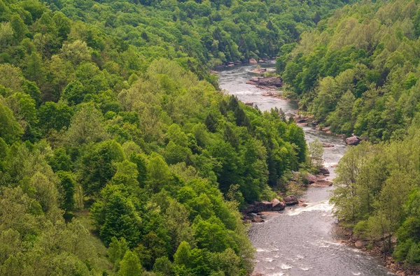 Gauley River National Rekreative Område - Stock-foto