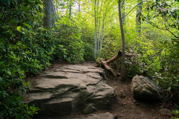 Boulders Along a Hiking Trail at New River Gorge National Park and Preserve