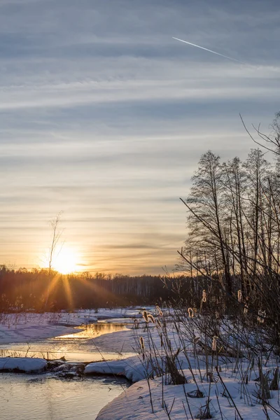 Původ řeky Pekhorka Elk Island, Balashikha — Stock fotografie