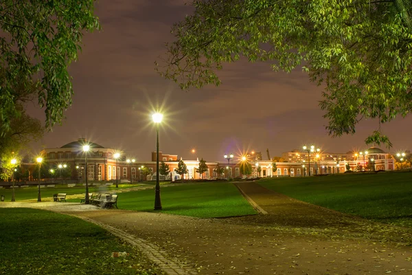 gece manzarası tsaritsyno içinde