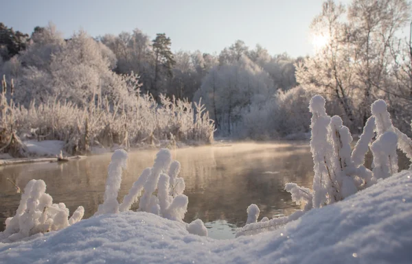 Invierno en el río —  Fotos de Stock