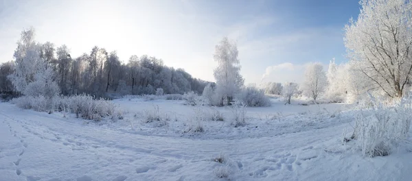 Invierno en el río —  Fotos de Stock