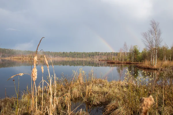 Lente regenboog — Stockfoto