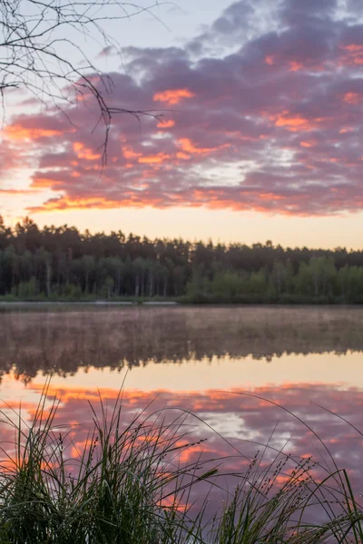 Orange dawn — Stock Photo, Image